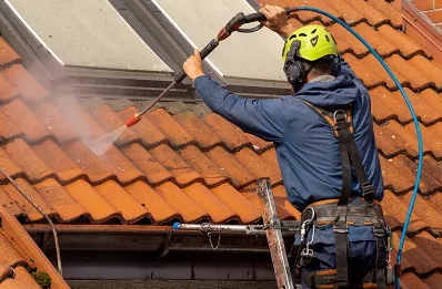 Démoussage et hydrofuge de toiture à Barinque